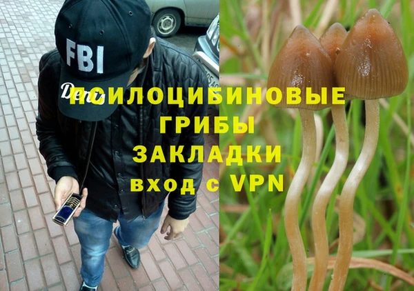 винт Алексин