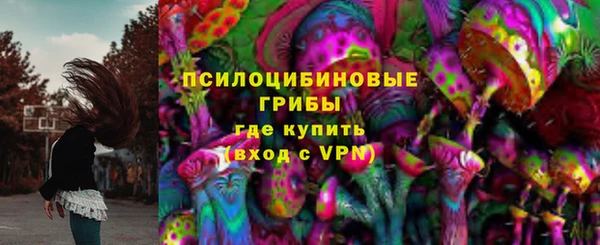 винт Алексин