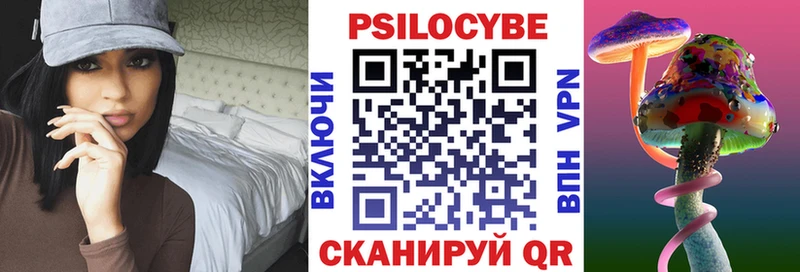 Галлюциногенные грибы Psilocybe  darknet какой сайт  Межгорье  магазин   